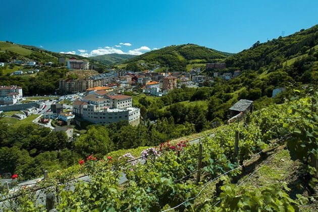 cangas del narcea cangas del narcea