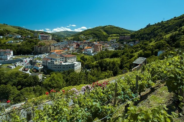 Que hacer en cangas de narcea