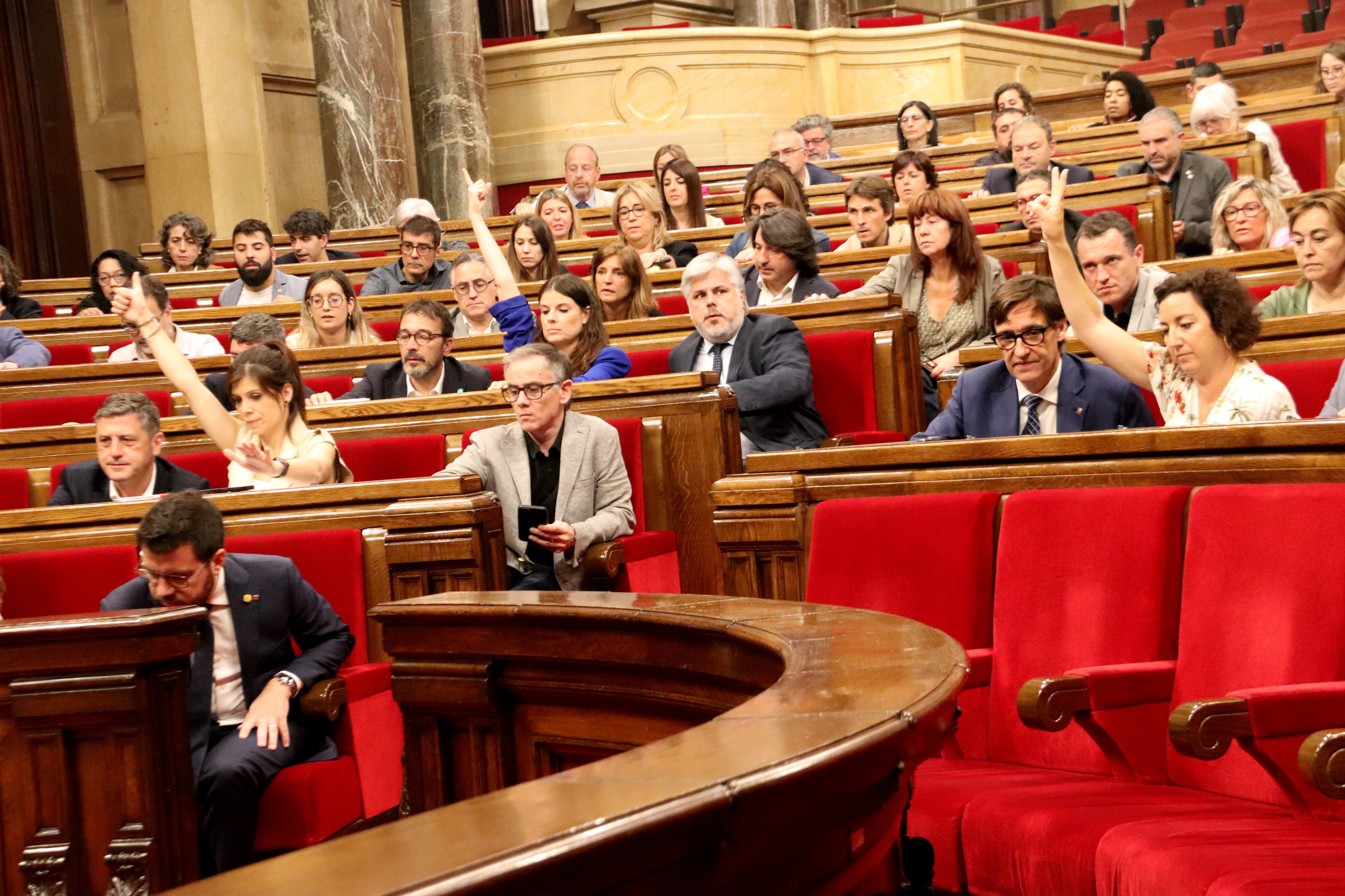 El Parlament insta al Estado a cumplir las resoluciones de la ONU sobre derechos civiles y políticos