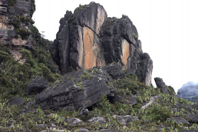 roraima flickr roraima flickr