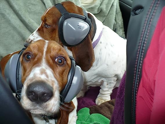 Perro auriculares Perro auriculares