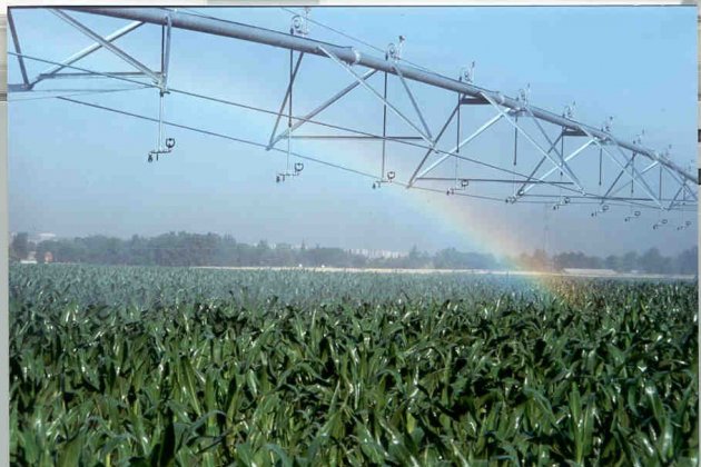 PIVOT tcm30 253389 PIVOT tcm30 253389