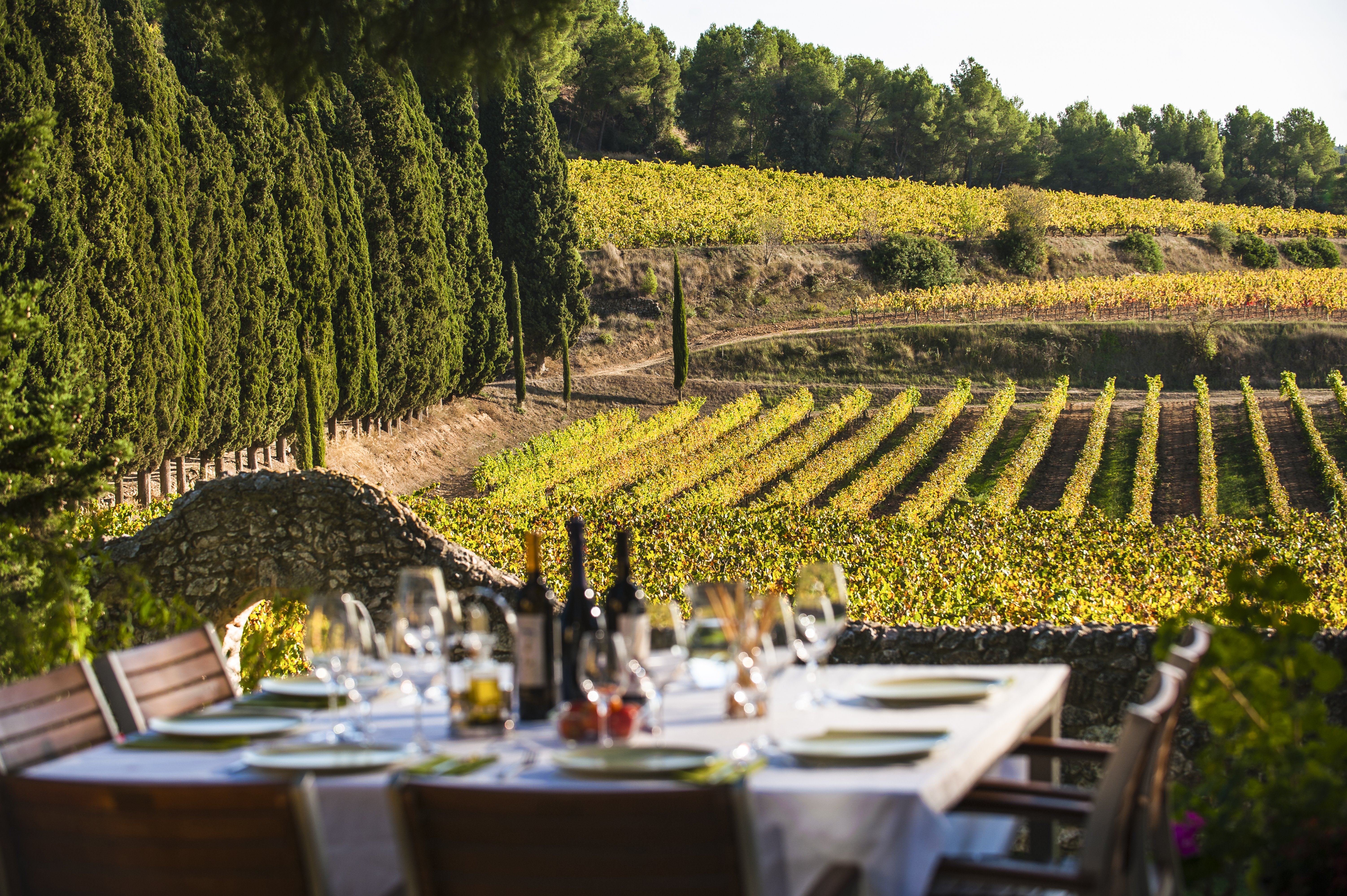 10 experiencias enoturísticas para este verano