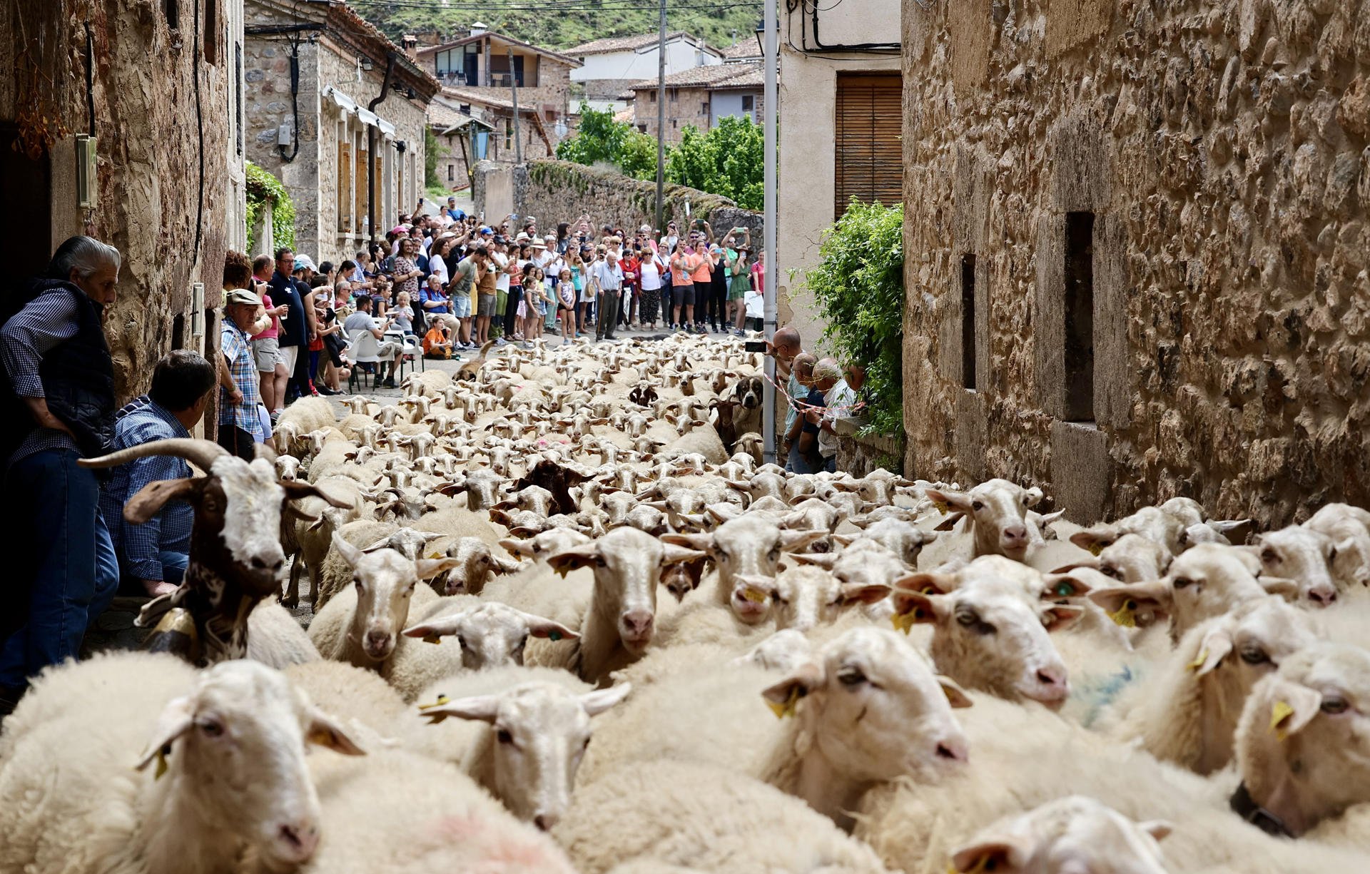 Brieva de Cameros (La Rioja)