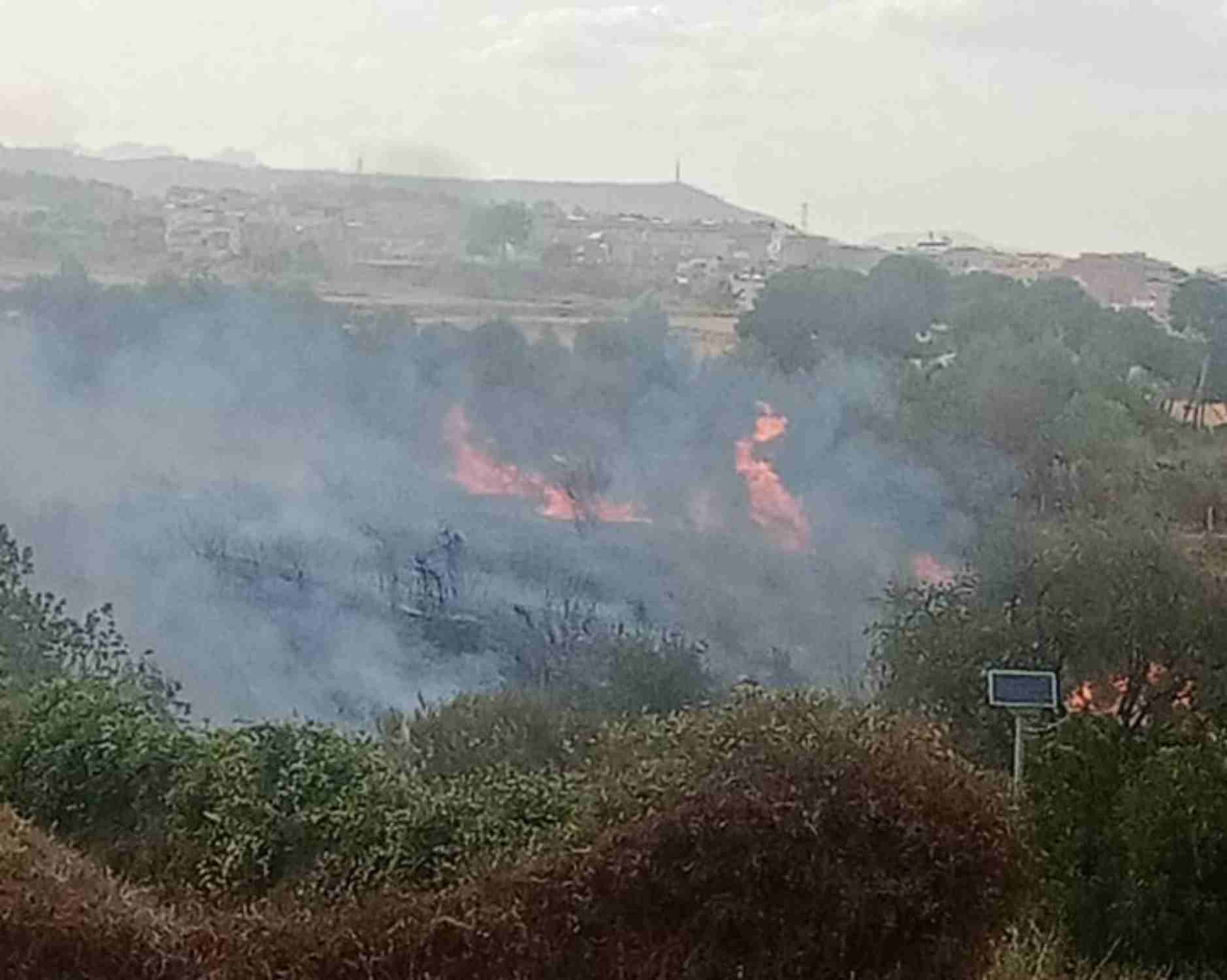 Incendio en Sant Boi de Llobregat: un fuego quema matorrales muy cerca de una escuela y varios edificios