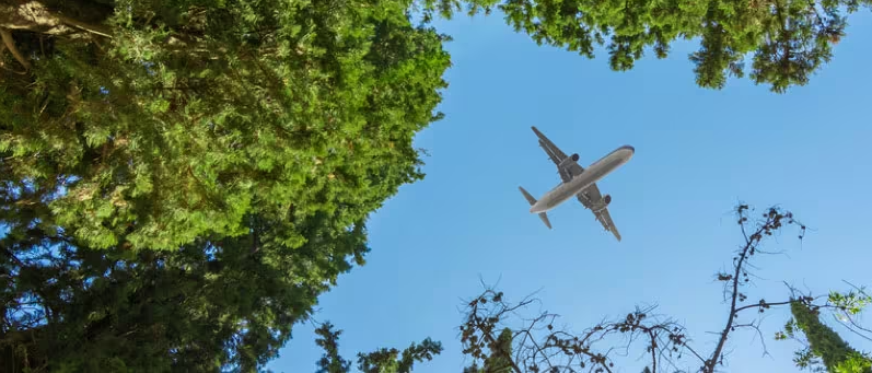 La producció de combustibles sostenibles per a avions podria generar 270.000 llocs de treball a Espanya