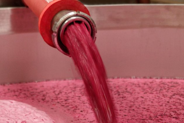 VINO GRANEL VINO GRANEL