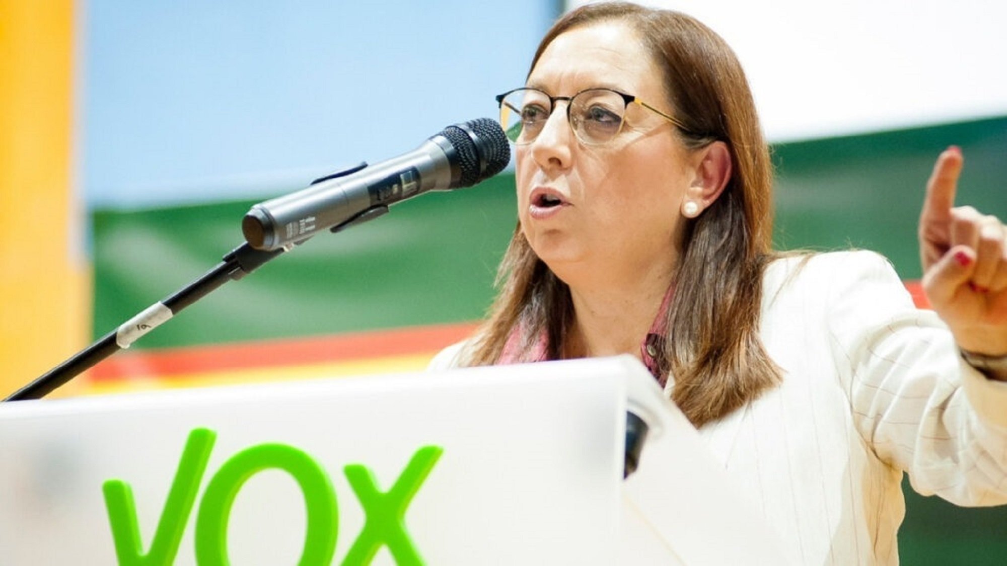 Llanos Massó, ultracatòlica i antiavortista, la tria de Vox per presidir les Corts Valencianes