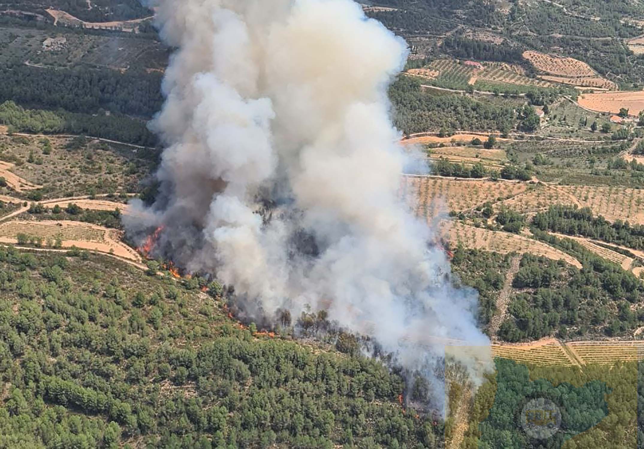 Estabilizado el incendio en el Pont d'Armentera (Alt Camp): Bombers asegura que el perímetro está estable