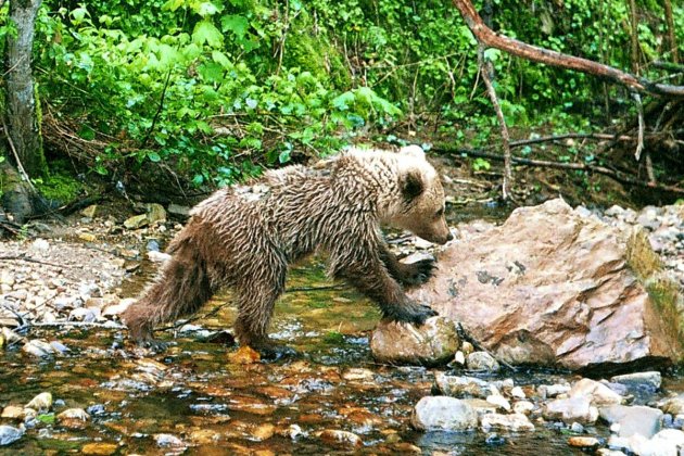 f.elconfidencial.com original b4f a08 552 b4fa08552d249045fc2a1ceb560b2467 f.elconfidencial.com original b4f a08 552 b4fa08552d249045fc2a1ceb560b2467