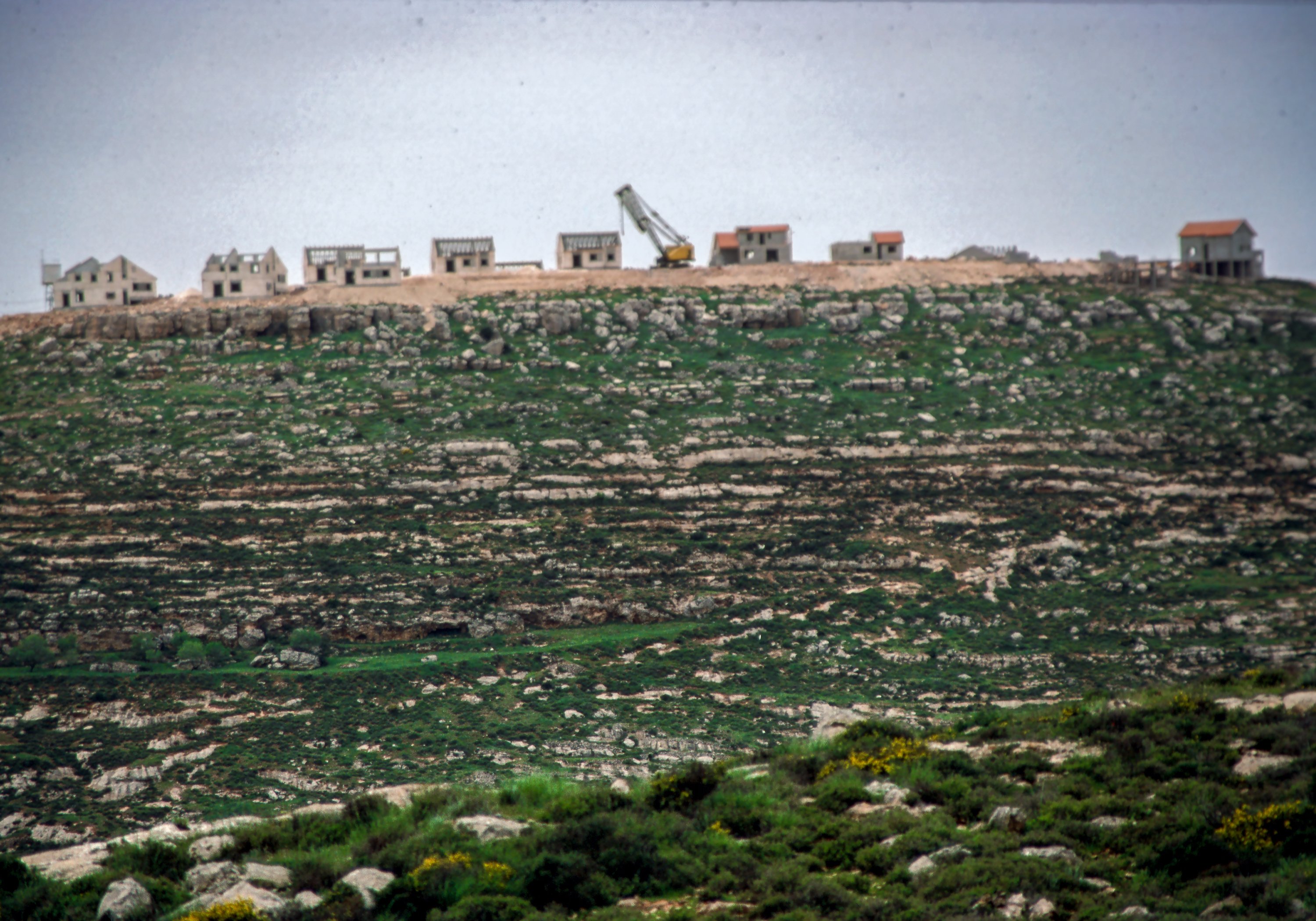 Israel s'expandeix a la Cisjordània ocupada amb l'aprovació d'uns 5.700 habitatges