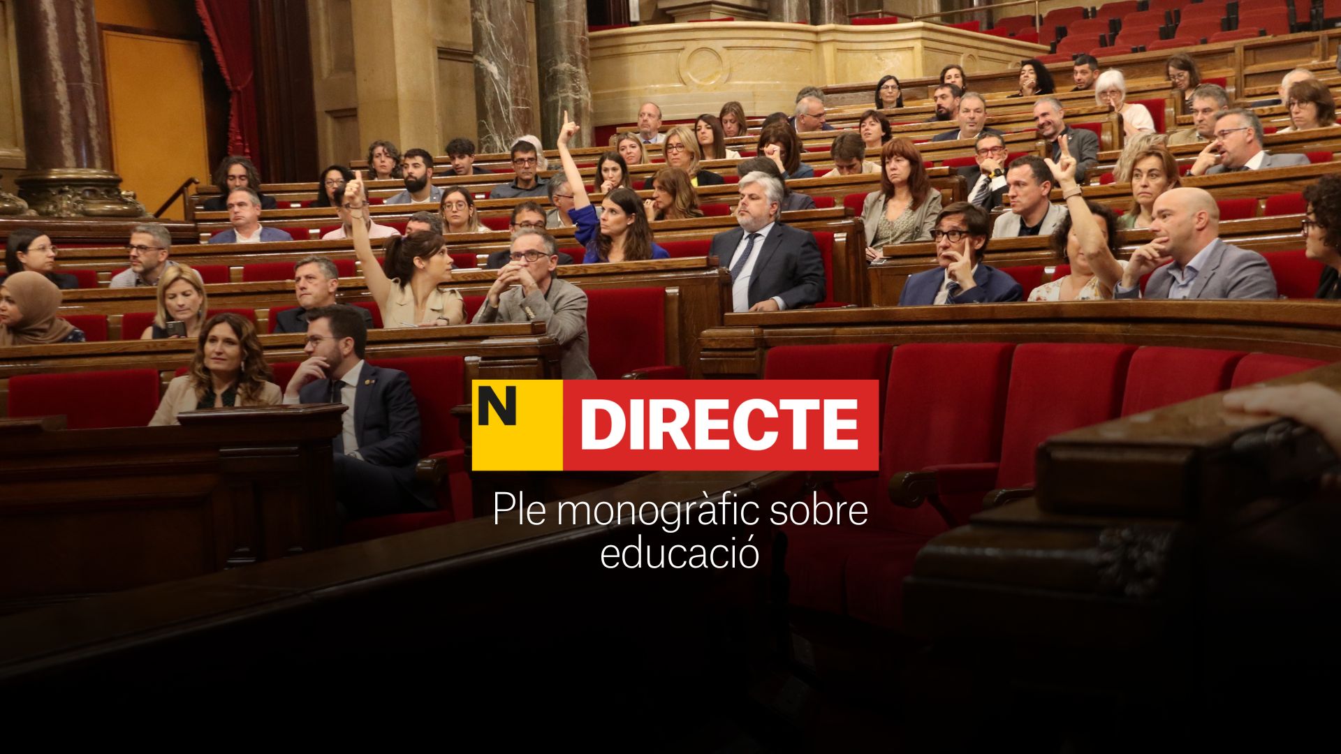 Ple monogràfic sobre educació, DIRECTE | Última hora al Parlament