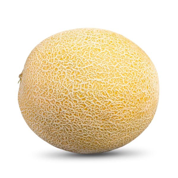 Melón Galia1 Melón Galia1