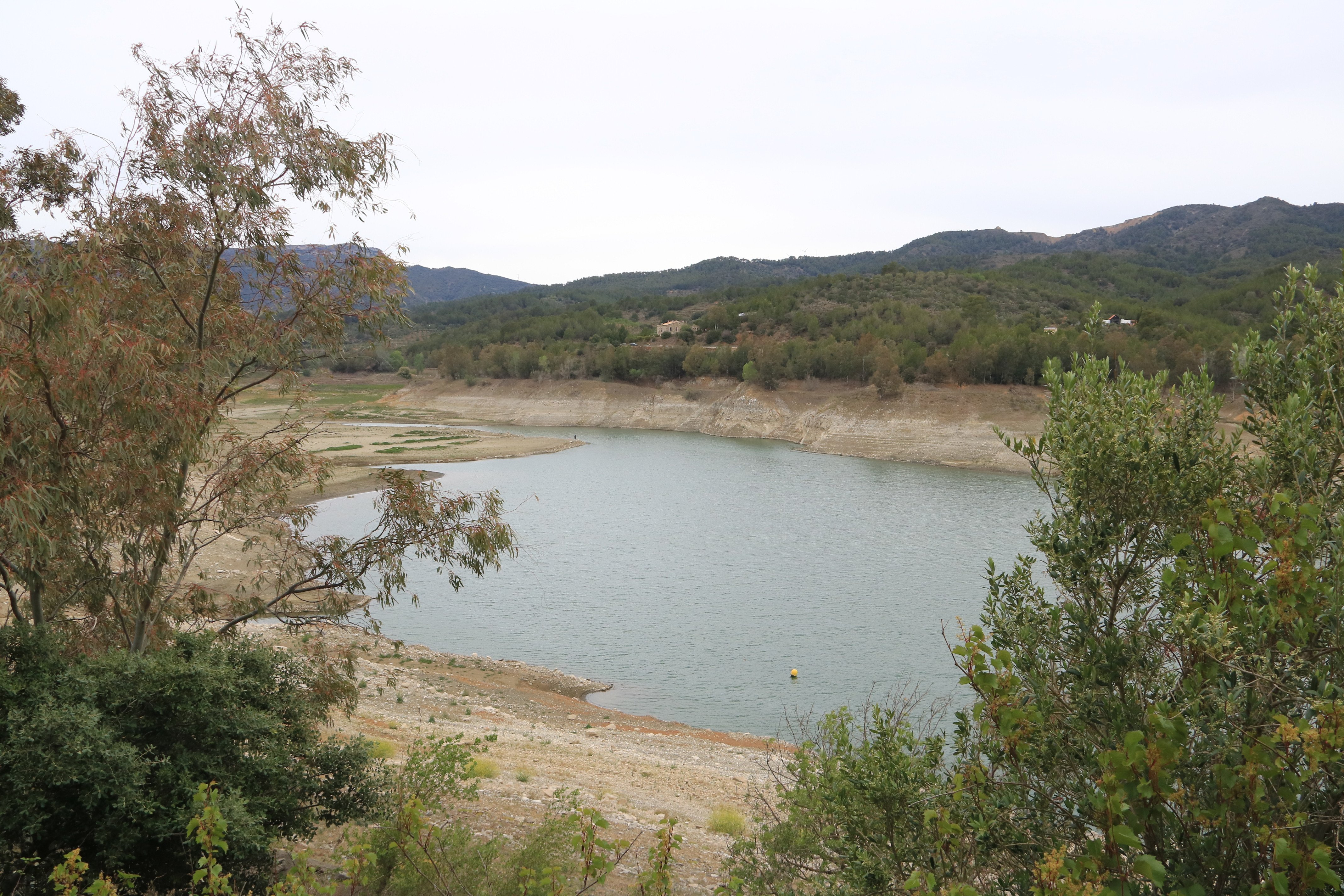 Medida de urgencia de la Generalitat para salvar los avellanos de Tarragona: vaciar el pantano de Riudecanyes