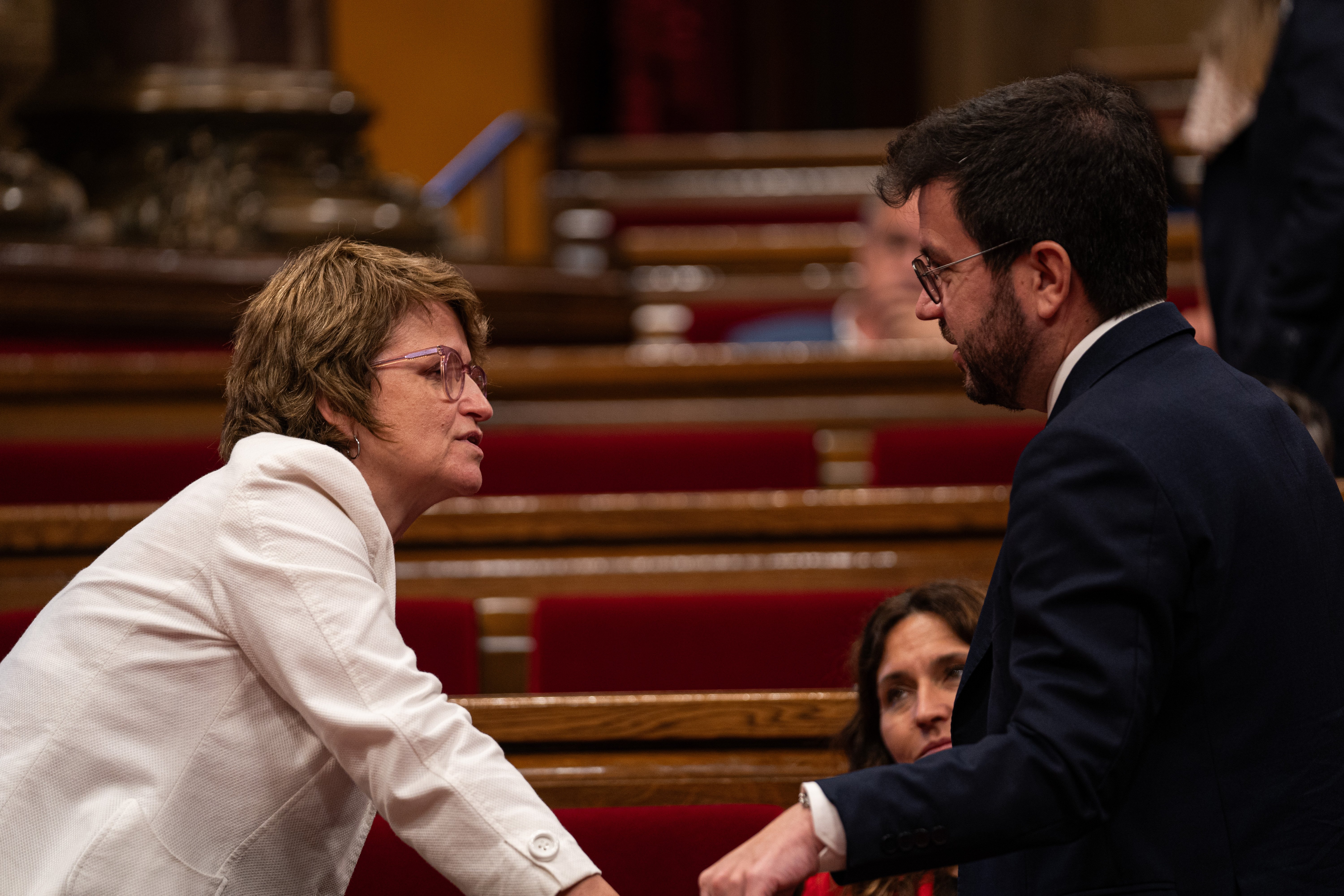 El Parlament avala un Pacte Nacional per defensar el català a l'escola contra els embats de l'Estat