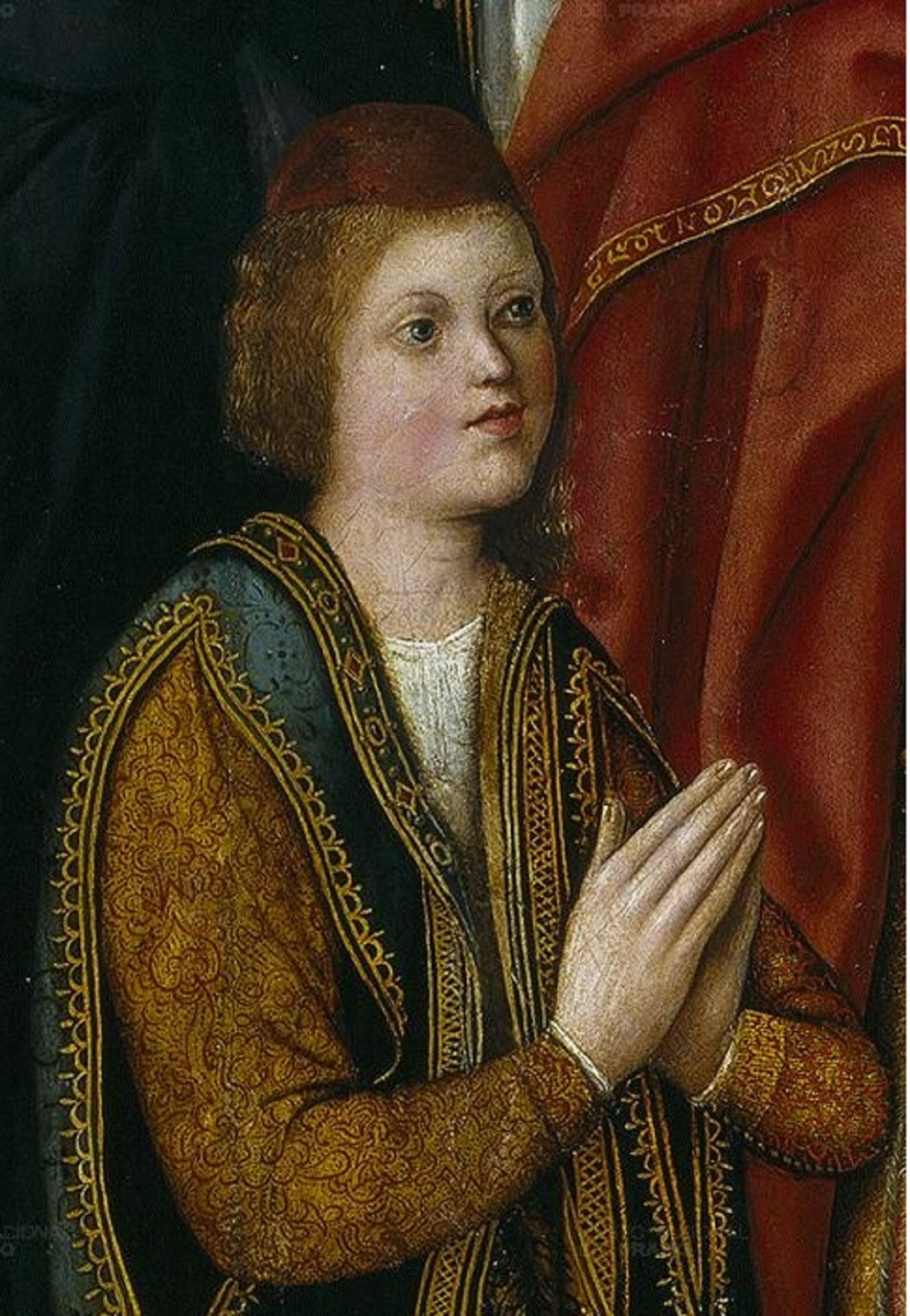 Nace Juan de Aragón, el heredero de los reyes católicos que nunca llegó a heredar