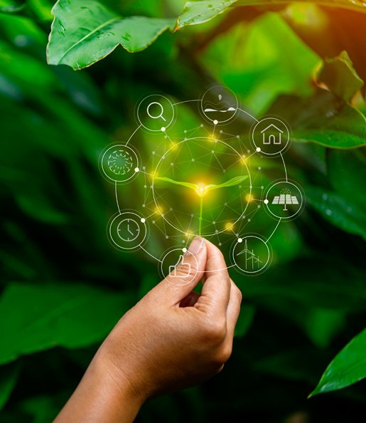 descarbonizacion medio ambiente descarbonizacion medio ambiente