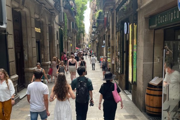 Las Ramblas Alleyways