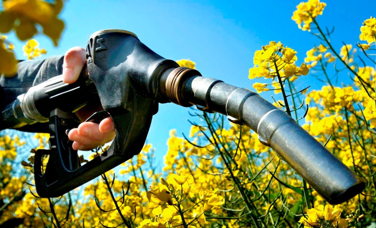 Etanol y 1-octanol llegan para jubilar a la gasolina y el diésel, adiós definitivo