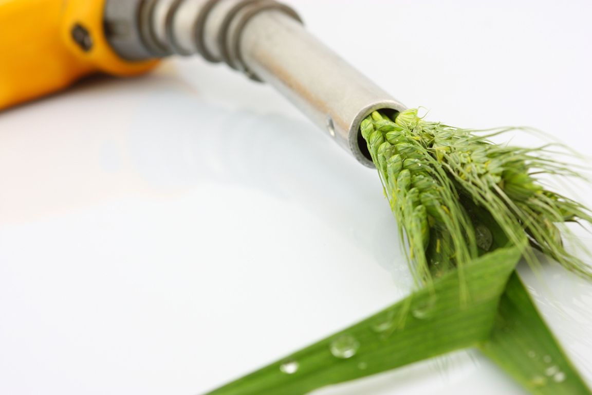 Los ecocombustibles quieren ser tenidos en cuenta en los programas electorales