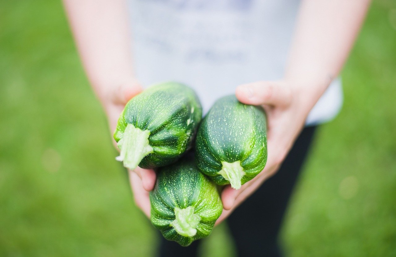 zucchinis 1869941 1280 zucchinis 1869941 1280