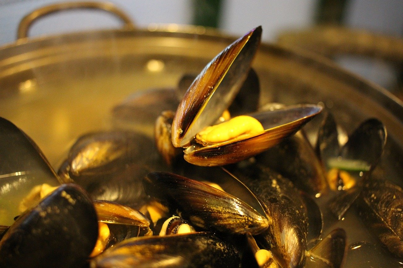 mussel soup 678142 1280 mussel soup 678142 1280