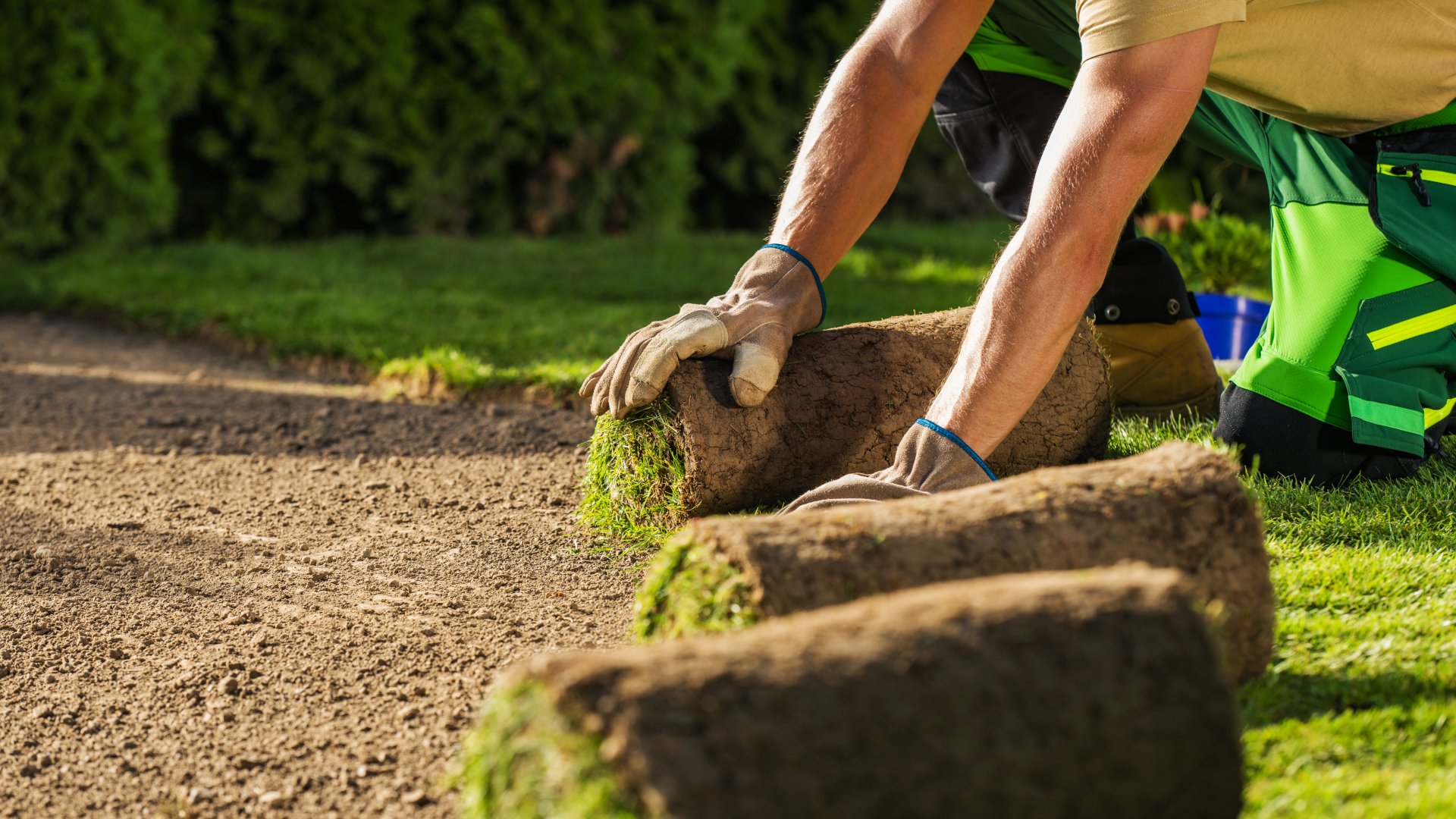 Cuándo y cómo plantar césped para que tu jardín quede perfecto