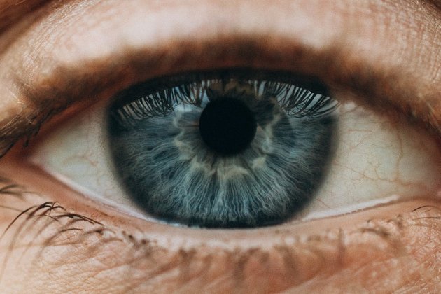 Ojo / Pexels Ojo / Pexels