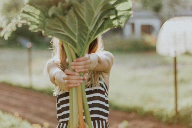 Verdura, ideal per al sol
