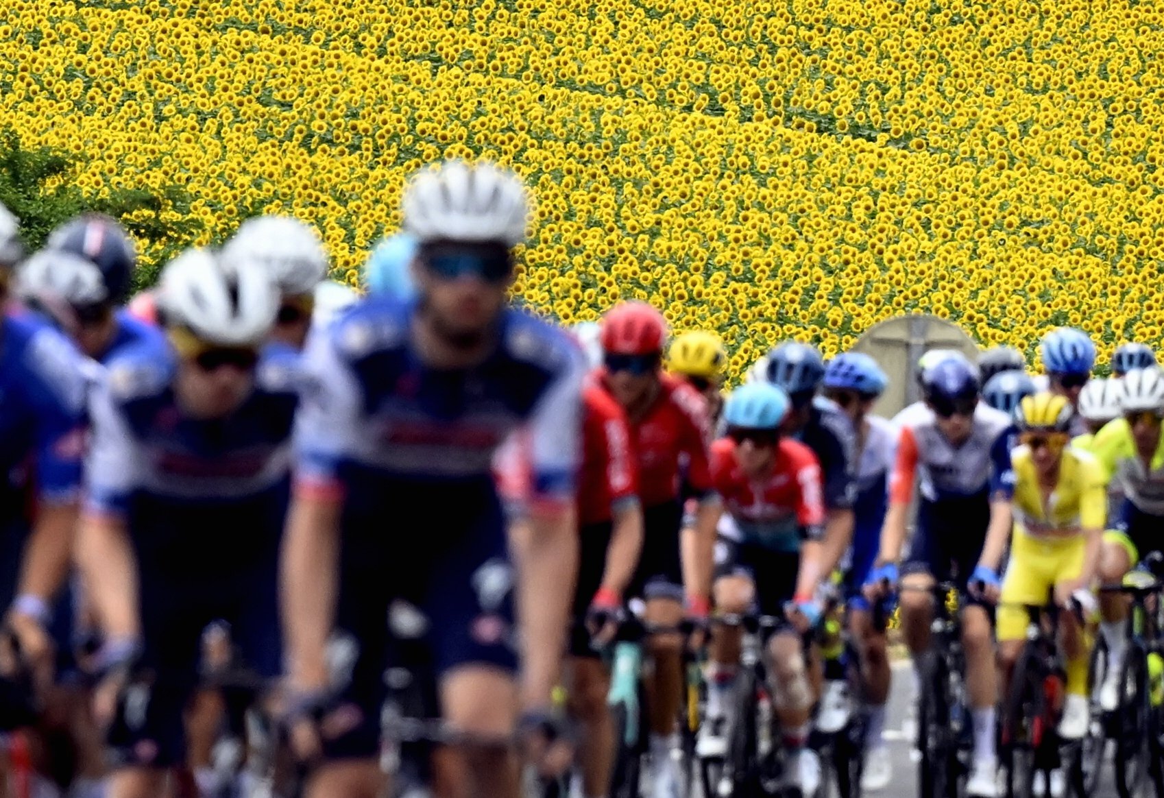 El Tour de França, la calor i més: la volta al món en 15 fotos