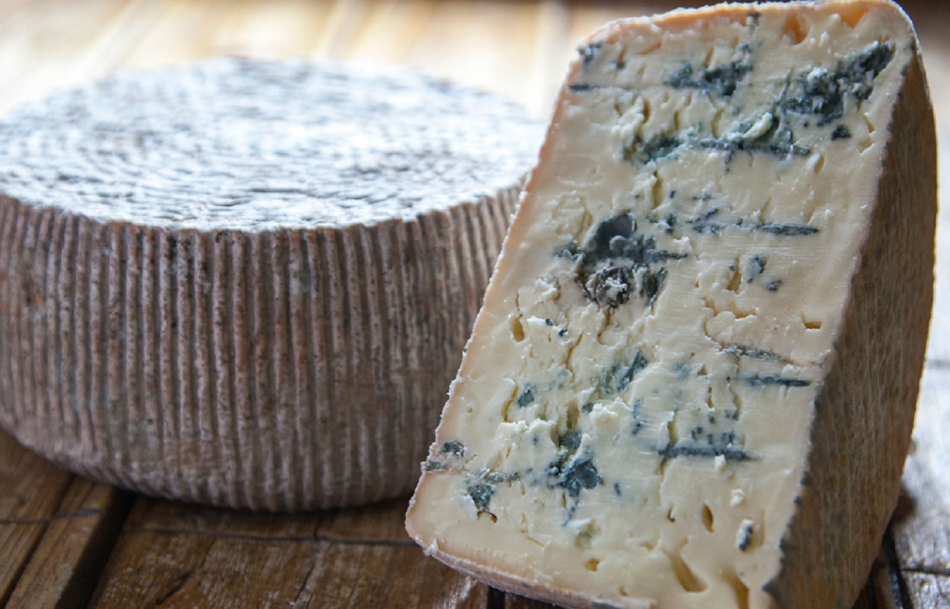 Així és el millor formatge blau de Catalunya elaborat al Lluçanès