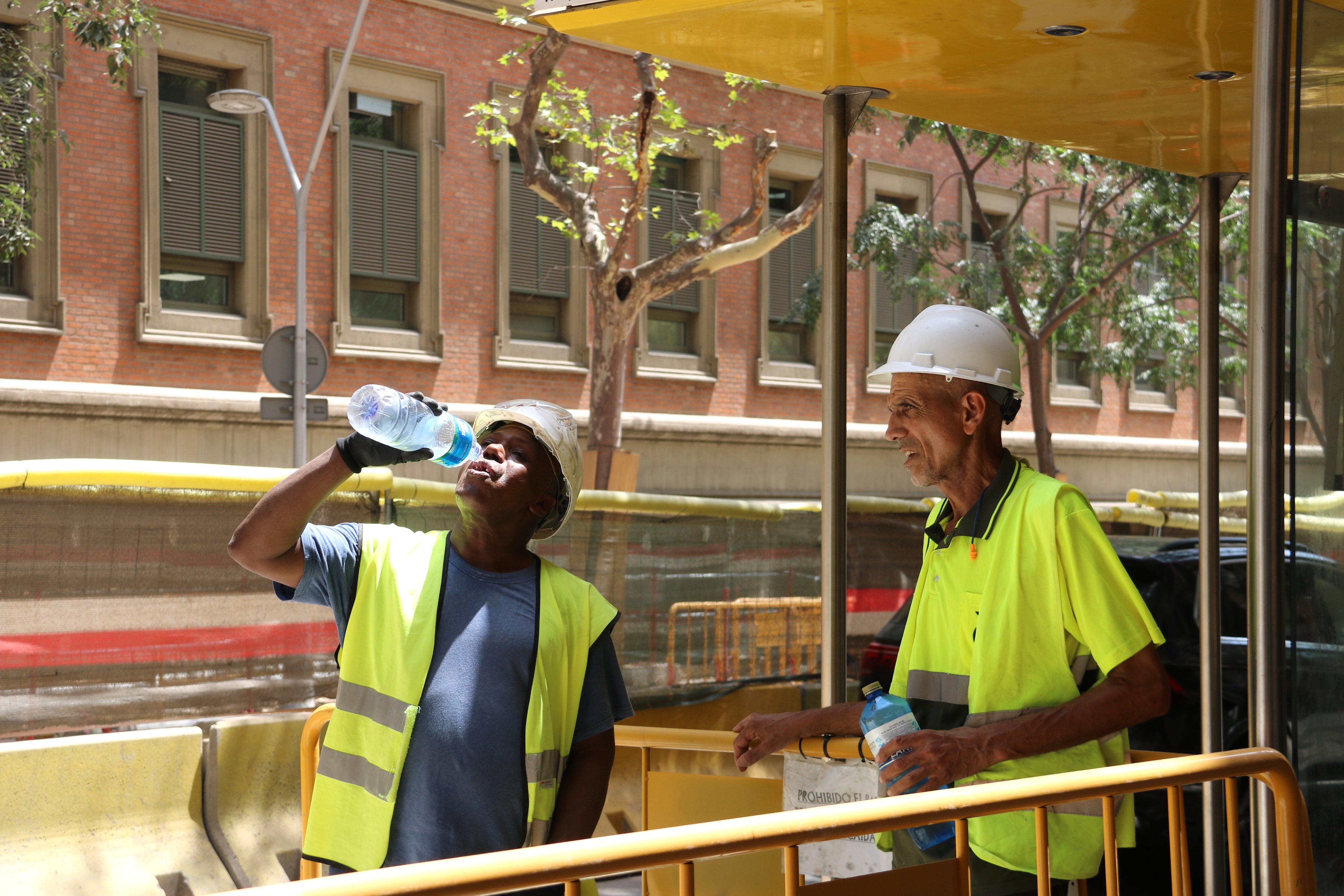 La calor de rècord a l'estiu del 2022 va causar més de 1.700 morts a Catalunya