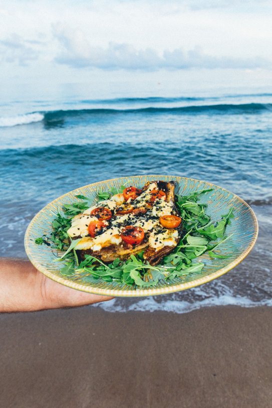 santo erizo de mar plato santo erizo de mar plato