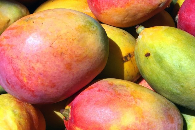 Mango Mango