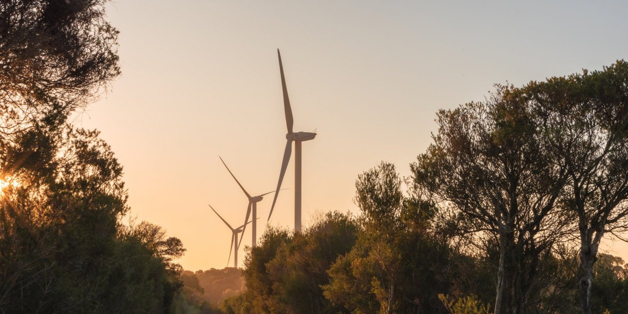 Energia eolica / Pexels Energia eolica / Pexels