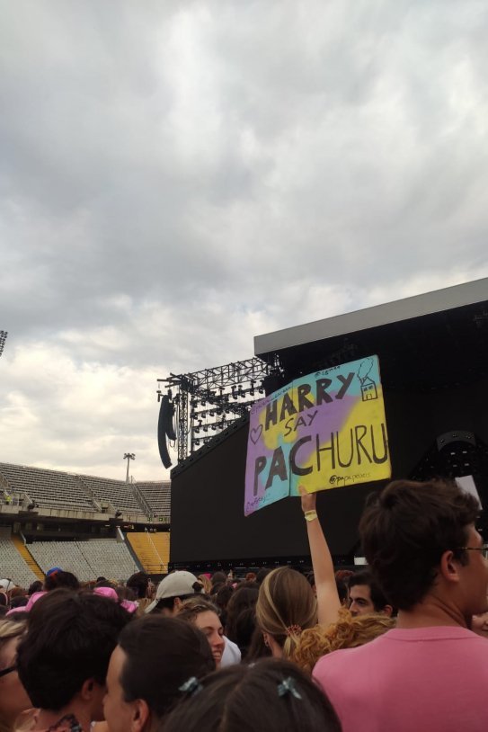 Harry Styles Say Pachuru Harry Styles Say Pachuru