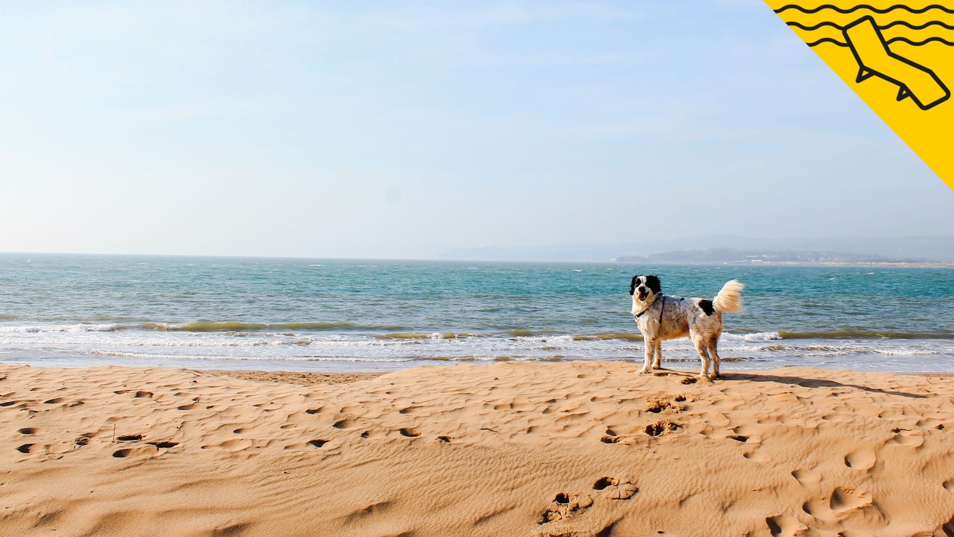 8 cosas que no se pueden hacer en la playa que podrían comportarte una multa