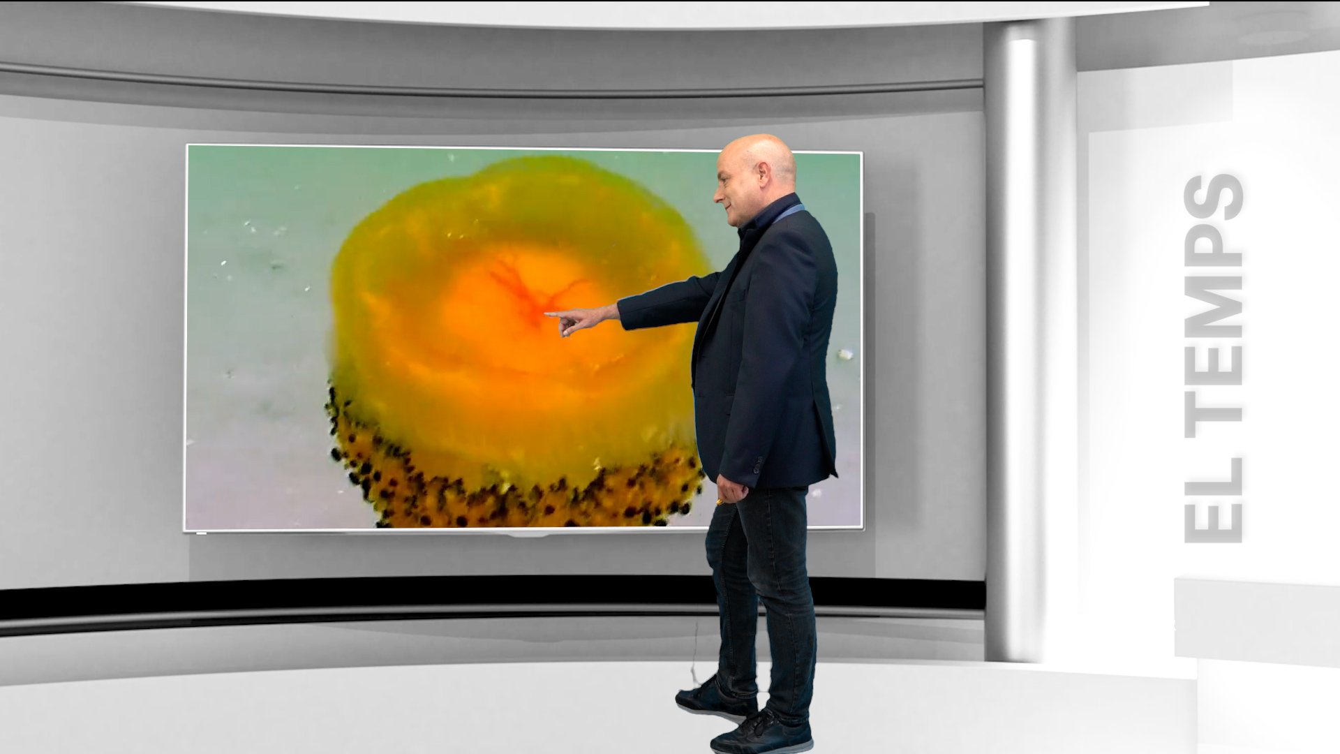 Previsió del temps: arriben els pitjors dies de l'estiu i meduses ou ferrat a les platges