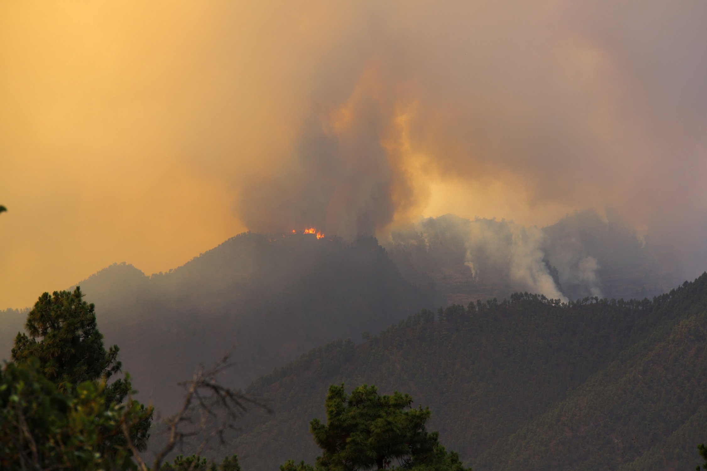Incendio en La Palma: el fuego sin control quema 13 casas y obliga a desalojar a más de 4.000 personas