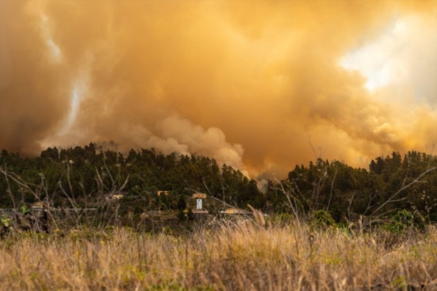 EuropaPress 5334739 fuego humo búsqueda vivienda incendio forestal declarado palma 15 julio 2023 (1)