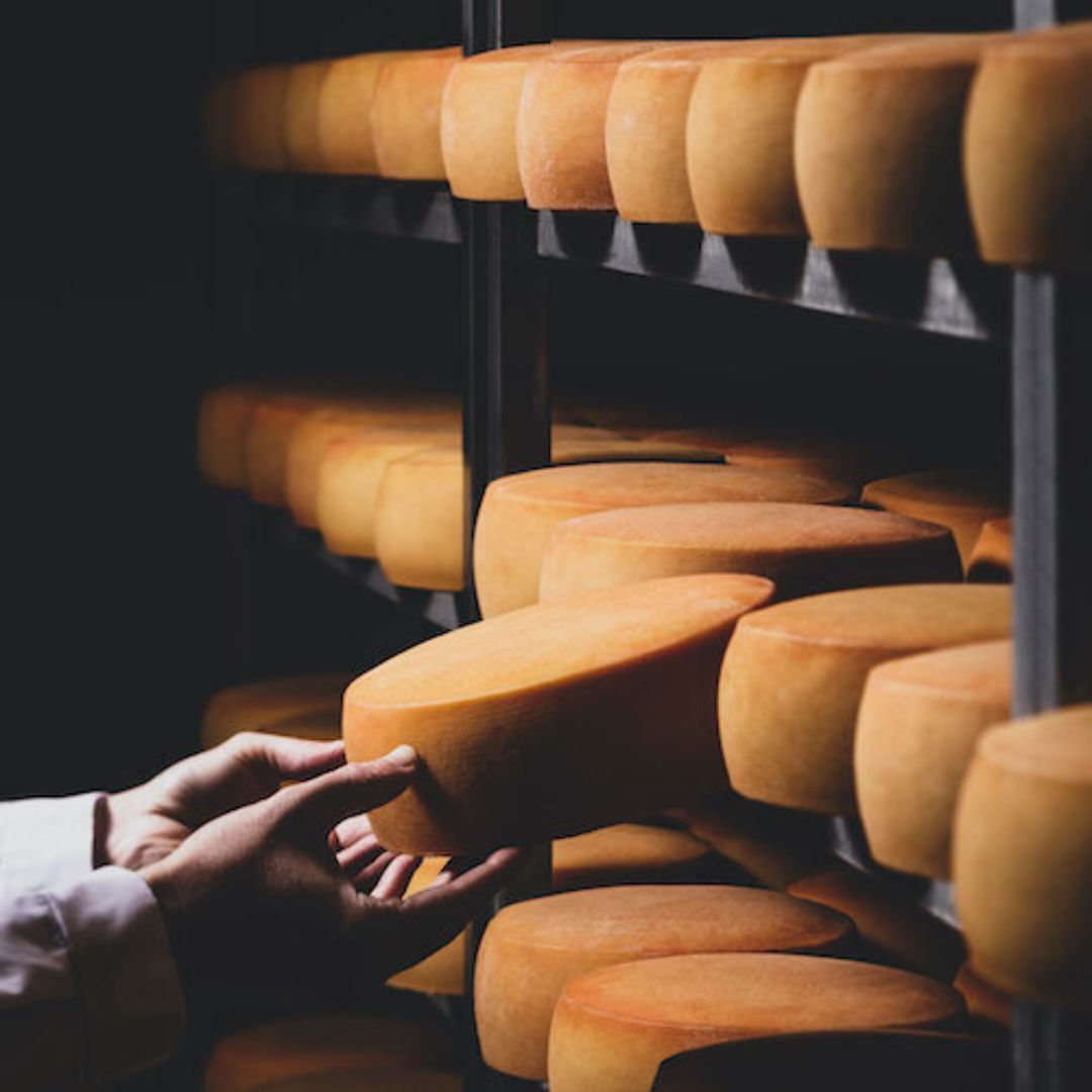 Suau i cremós: així és l'únic formatge català amb DO protegida europea