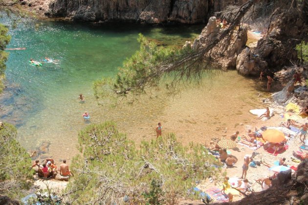 mejores calas costa brava aigua xelida mejores calas costa brava aigua xelida