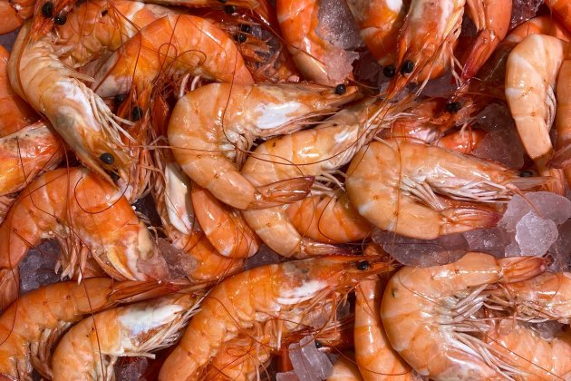 Gambas 2 Gambas 2