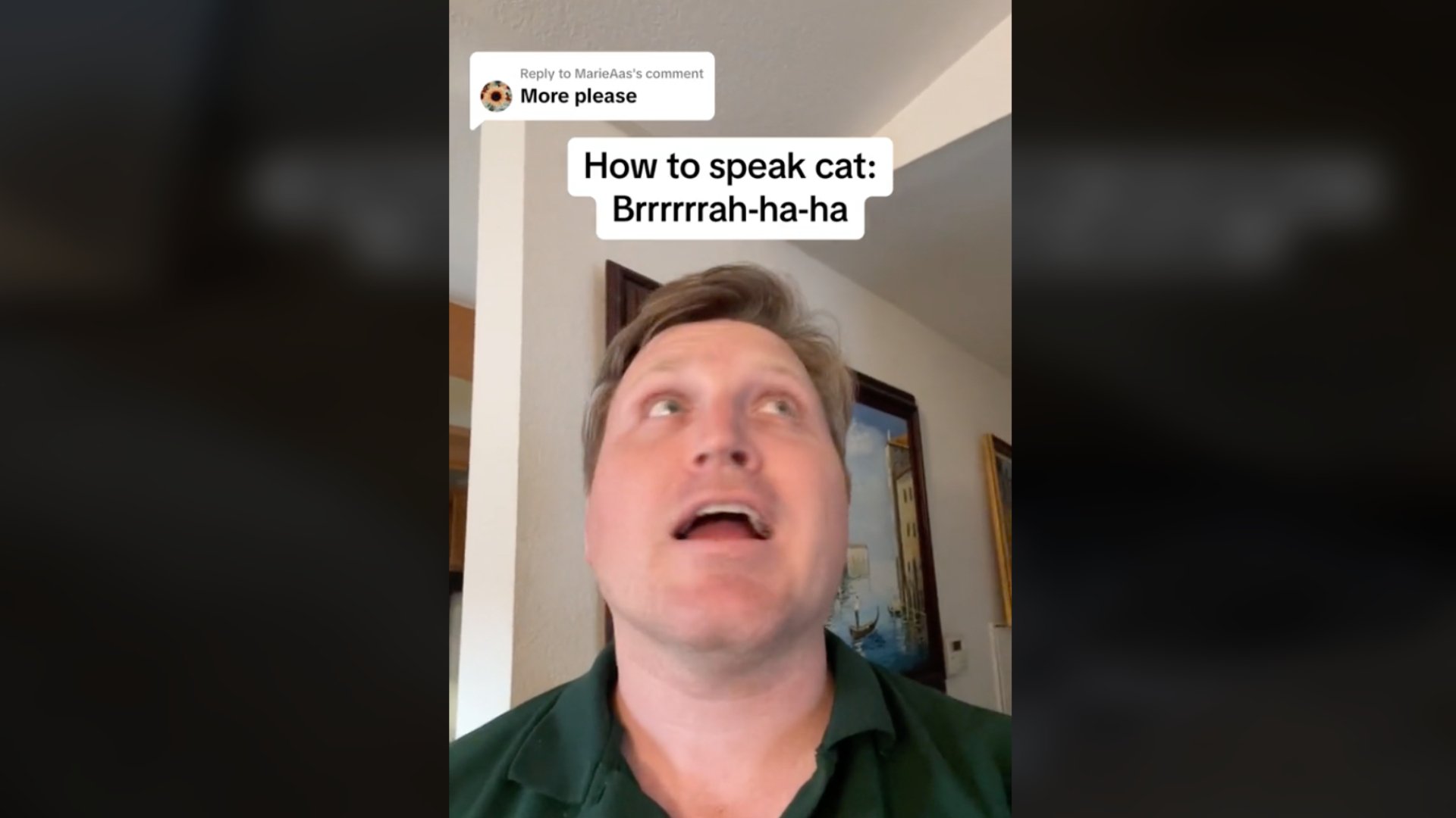 Un hombre descifra el idioma de los gatos y se hace viral en TikTok, así es cómo reaccionan los felinos