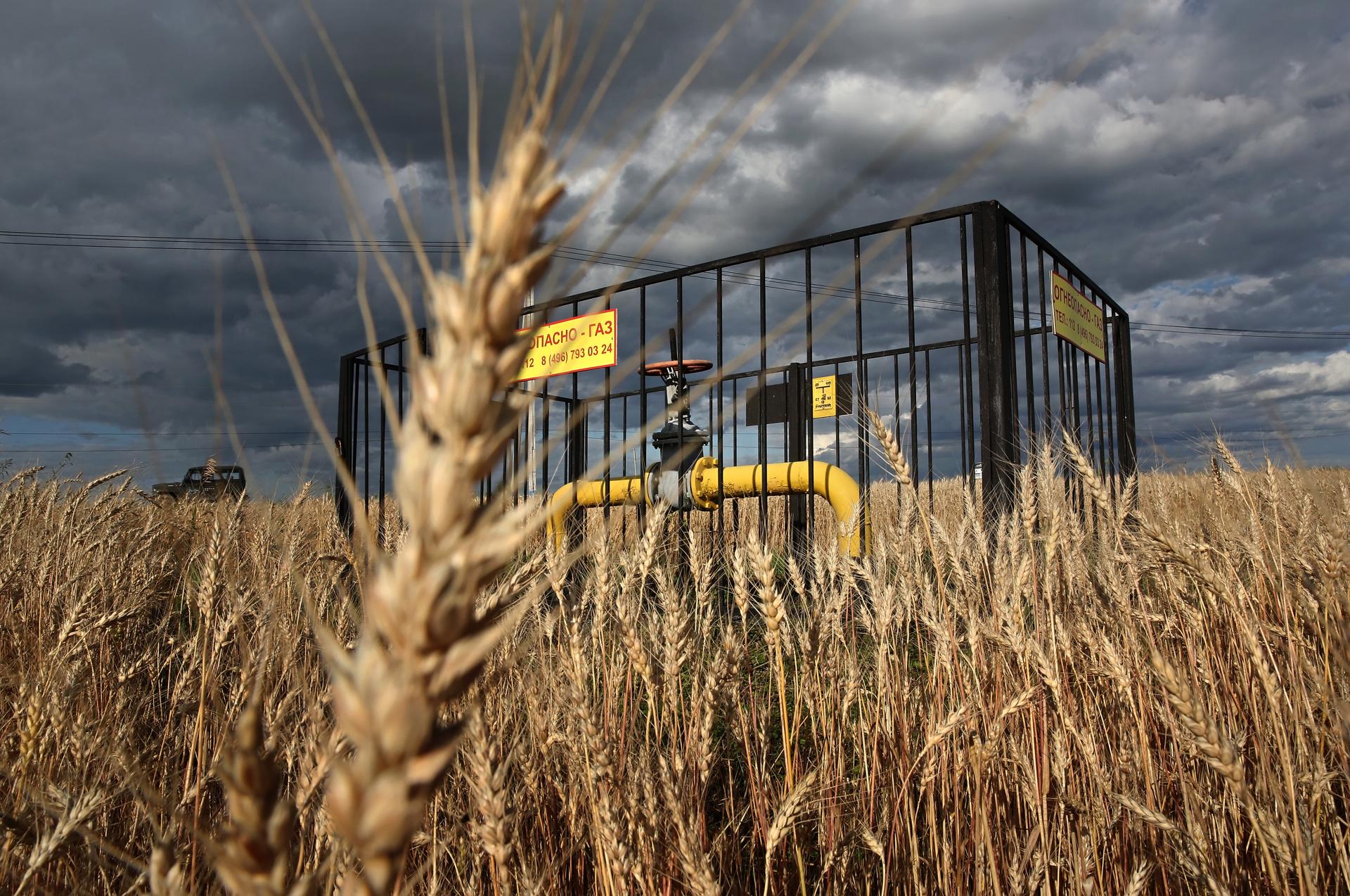 Europa alerta del peligro de crisis alimentaria a medida que Rusia ataca la producción de cereal ucraniano