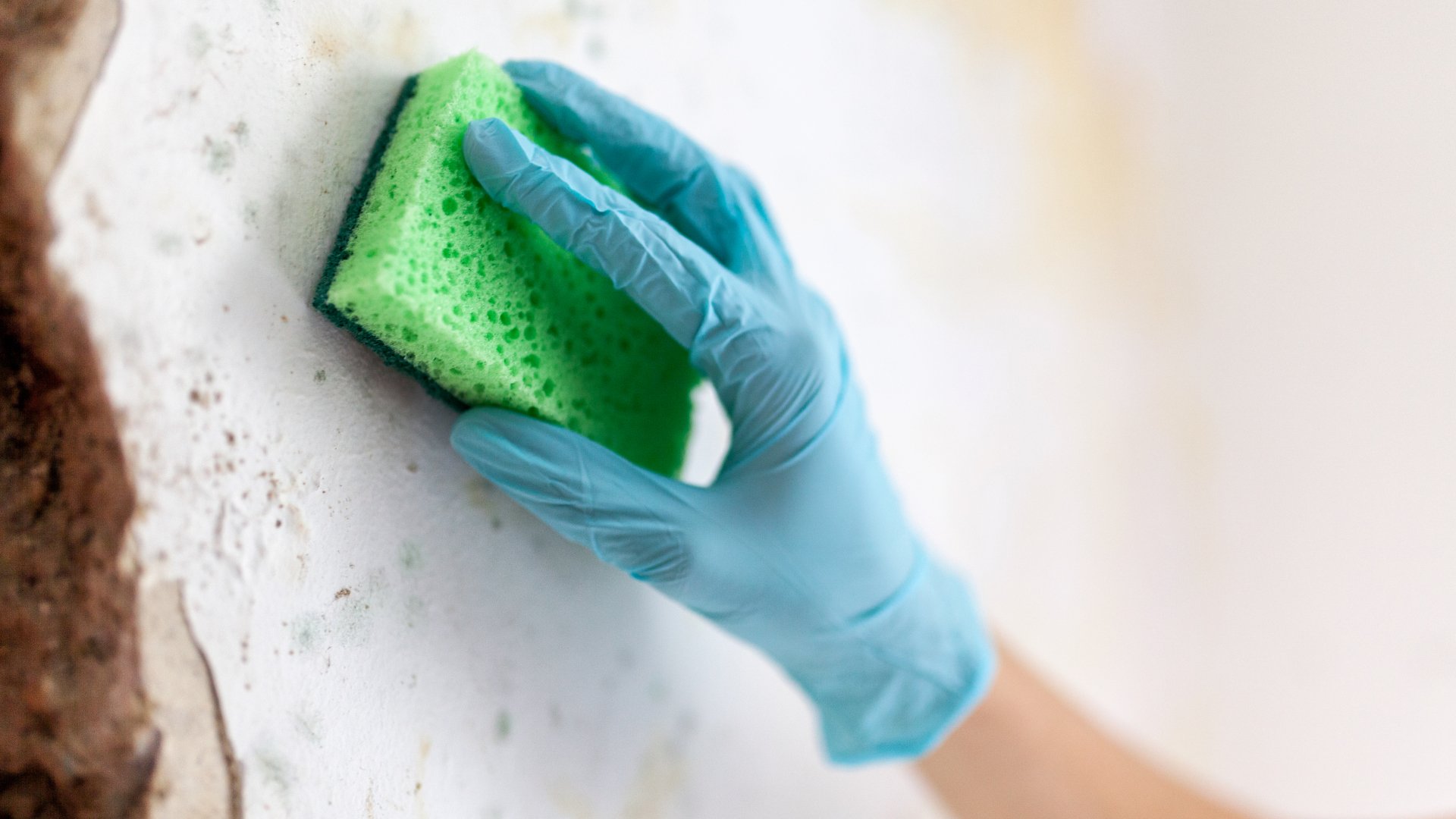 Cómo limpiar las manchas de humedad de paredes y techos