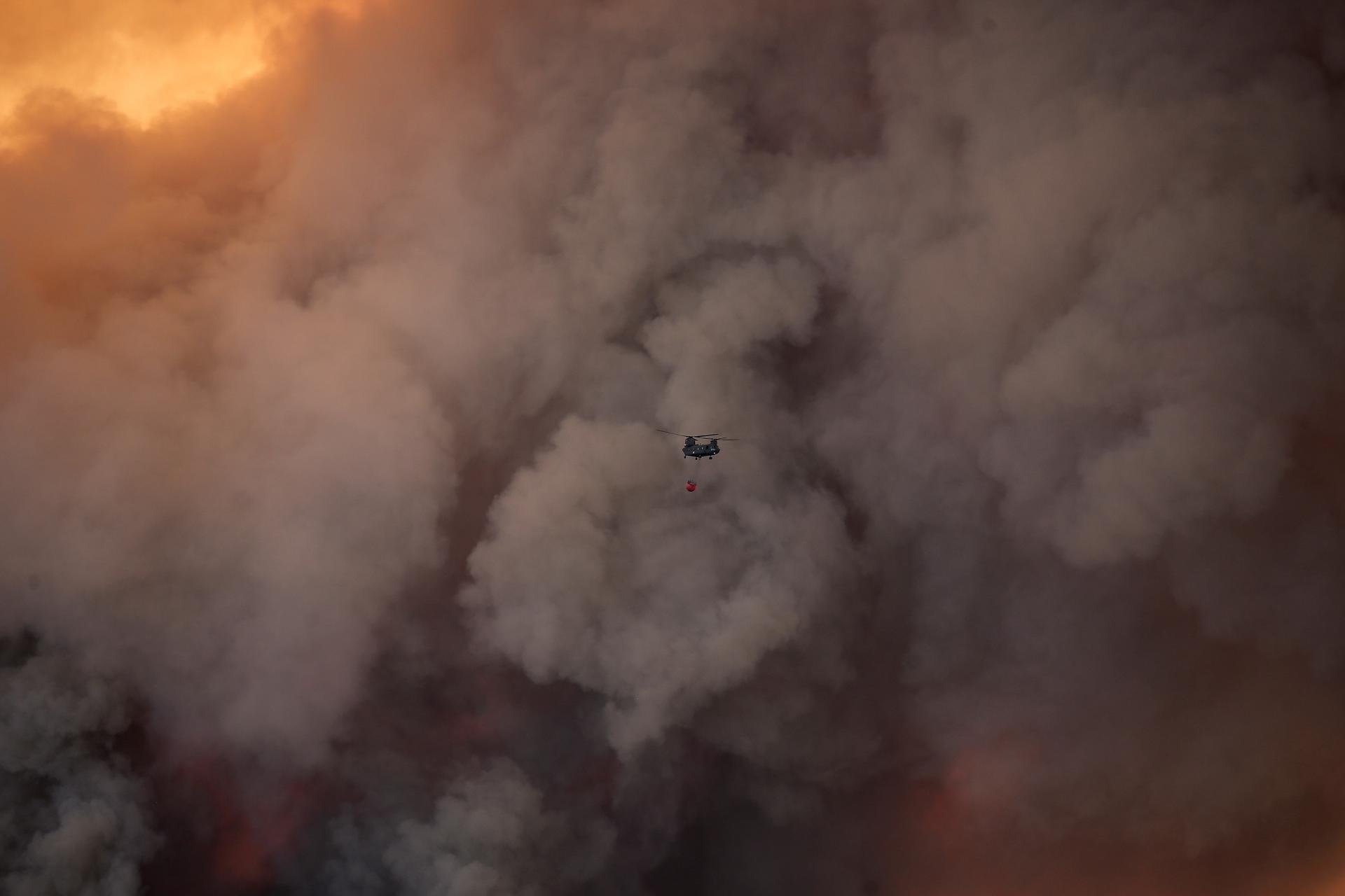 Los incendios, el calor en Grecia y más: La vuelta al mundo en 15 fotos