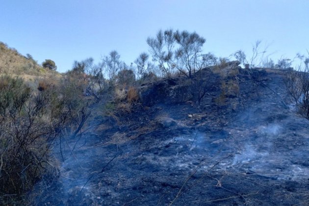 sant vicenç horts incendi sant vicenç horts incendi