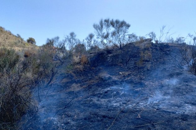 sant vicenç horts incendi