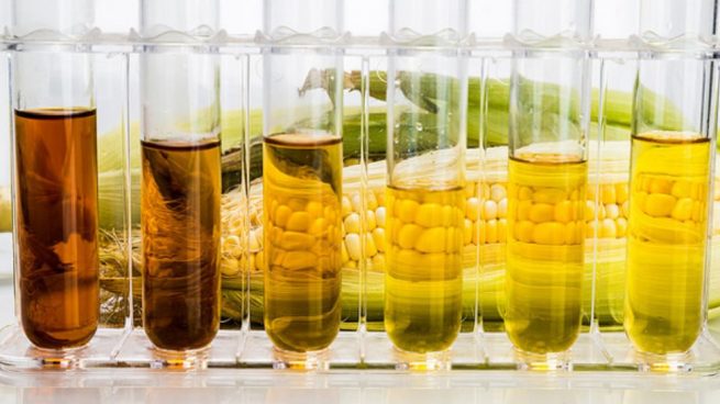 Els biocarburants xinesos posen en perill la producció nacional d'aquest recurs